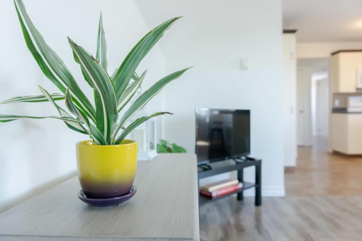 Amazing Location In Saint John 2 Bedroom Modern Parking New ภายนอก รูปภาพ