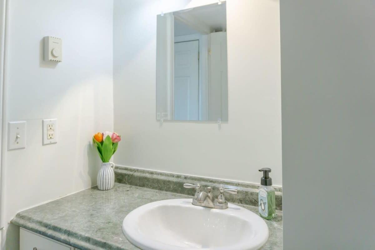 Amazing Location In Saint John 2 Bedroom Modern Parking New ภายนอก รูปภาพ
